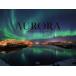 AURORA/. угол .( автор )