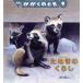  ежемесячный .... ..(9 2018) ежемесячный журнал / удача звук павильон книжный магазин ( сборник человек )