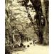  фотоальбом там был Edo занавес конец Meiji . подлинный . ассоциация / сверху . подлинный ..( автор )