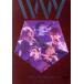 IVVY ONE MAN LIVE~Light on fire ~(Blu-ray Disc)/IVVY