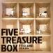 [ зарубежная запись ]Five Treasure Box/FTISLAND