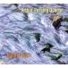 [ зарубежная запись ]Natural Flow/Arthur Possing Quartet