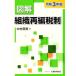  иллюстрация организация повторный сборник налоговая система (. мир 3 год версия )/ Nakamura . прекрасный ( автор )