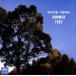  summer * tree / Tamura лето ., глициния ...(voice)
