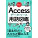  Speedmaster Access база даннных словарный запас иллюстрированная книга / сейчас ....( автор )