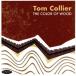 [ зарубежная запись ]Color Of Wood/ Tom *ko задний 