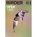 BIRDER(2023 год 4 месяц номер ) ежемесячный журнал / документ один обобщенный выпускать 