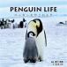 PENGUIN LIFE пингвин .. это время / Kagawa Miho,.....