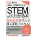STEM. хорошо понимать книга@AI времена. основы умение иллюстрация карман / сосна ...( автор )
