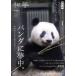  мир .( no. 41 номер ) Panda . сон средний./ журнал [ мир .] редактирование часть ( сборник человек )