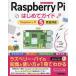 Raspberry Pi впервые . гид Raspberry Pi 5 совершенно соответствует / гора внутри прямой ( автор ), большой . гарантия ..( автор ), лес 