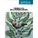  зуб . выставка .(5 Vol.145 No.5 2025) ежемесячный журнал /. зуб лекарство выпускать 