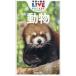  Gakken. иллюстрированная книга LIVE карман 4 животное новый 