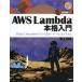 AWS Lambda основной введение Rust.Terraform.... сервер отсутствует система /.. человек 