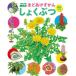 shi.... Shogakukan Inc.. иллюстрированная книга NEO