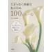  Tama . нет замечательный я стать 100. правило elegance. узнать . или ..../ Brown . плата прекрасный 