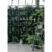 Living with plants / garage