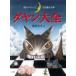  кошка. dayan. тайна . мир dayan большой все / Ikeda ...