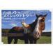  Boss cat meto.meishoudotou.. horse ranch no- The n Ray k. miracle / Sasaki ..