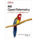  практика OpenTelemetry / Daniel Gom