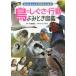  птица. ...* line перемещение .. время иллюстрированная книга / маленький . блестящий ...
