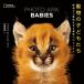 PHOTO ARK BABIES животное. /jo L *sa- tray 