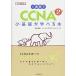 1 неделя .CCNA. основа ....книга@ no. 2 версия ( тщательный ..)