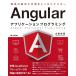 Angular Application программирование 