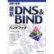 [A11039685] иллюстрация стандарт новейший DNS&amp;BIND рука книжка iksb дождь 