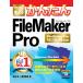 сейчас сразу можно использовать простой FileMaker Pro[FileMaker Pro16/15/14 соответствует версия ]