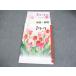 . специальный средний 1 государственный язык i Work Tokyo литература основа в хорошем состоянии 018S5B