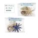 Star Fish Galland 1 set ( Star Fish 6 pieces go in ) band ( flax string attaching ) craft for nature material shell display n terrier equipment ornament .!!