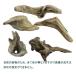  nature driftwood [1 piece ] form leaving a decision to someone else S size ( approximately H10cm~35cm) driftwood interior display craft material 