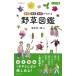  травы иллюстрированная книга еда .* лекарственные травы *... понимать / золотой рисовое поле . один ./ основа . Хара 
