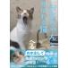 [. вода Chan ] называющаяся кошка /..