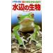  вода сторон живое существо / Hakusan ../*. кисть сосна .../ фотосъемка .. Taro 