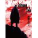  Junk * разряд * Family 14/ высота .hirosi