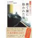  novel cat . life theory drama discard cat .. crack . man / plum rice field ../ Kobayashi . profit 