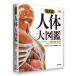 ( предварительный заказ ) совершенно версия тело человека большой иллюстрированная книга / Alice * осел -tsu склон .. самец 