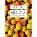 【条件付＋10％相当】今年こそ、梅しごと　梅干し、梅ジャム、梅酒、梅シロップほかはじめてでもおいしい手づくり/杵島直美【条件はお店TOPで】