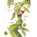  Jack .... . Англия народные сказки ../... для ./ ребенок / книга с картинками 