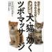  dog * cat . be effective tsubo* massage shiatsu . traditional Chinese medicine . instantly origin Be careful /sheliru*shuwarutsu/ base . Hara / Yamamoto beautiful ..