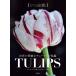  мир. . красота . тюльпан ..TULIPSje-n* East ... тюльпан. история . новейший цветок /je-n* East / Ray che ru*wa-n/. внизу . плата 