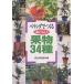  веранда ........ фрукты 34 вид / скала сосна Kiyoshi 4 .