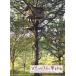  tree house . сон . смотреть / Alain * Rolland / Япония tree house изучение ./ гора . тысяч .