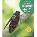  маленький сырой кимоно. весна лето осень-зима .... книга с картинками 14/ Ikeda . Цу прекрасный / ребенок / книга с картинками 
