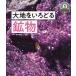  большой земля. visual большой иллюстрированная книга Япония ряд остров 5 сто миллионов год. .5