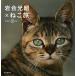  скала . свет .×...Iwago*s catalog/ скала . свет .