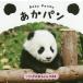 Baby Panda.. хлеб / пирог Inter National / земля . выгода свет 