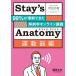 Stay*s Anatomy движение контейнер сборник / Machida ..